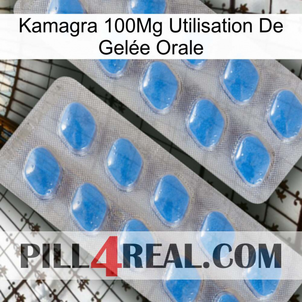 Kamagra 100Mg Utilisation De Gelée Orale 23